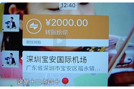 林芝如何避免债务纠纷？专业追讨公司教您应对之策